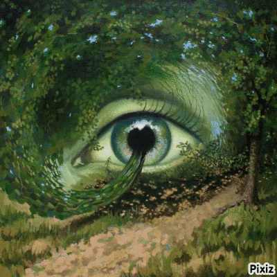 Woman's Eye Surrounded By Trees With Pixiz GIF