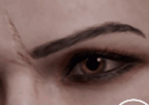Woman's Eye With Eyebrow Tattoo