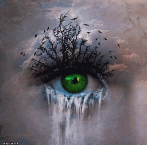 Woman's Eye With Waterfall Painting GIF