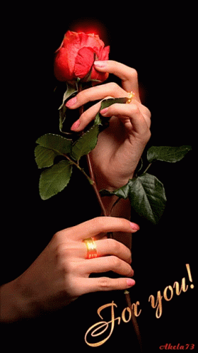 Woman's Hand Holding Red Rose Saying For You