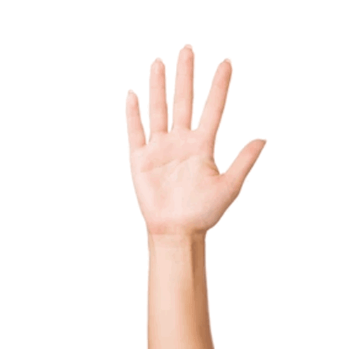Woman's Hand Showing Number Four GIF