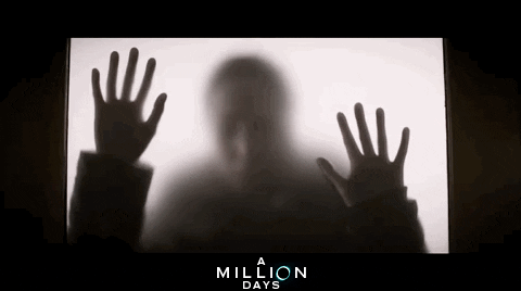 Woman's Silhouette Glass Window Let Me In Meme GIF