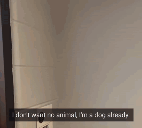 Woman Saying I Don't Want No Animal I'm a Dog Already