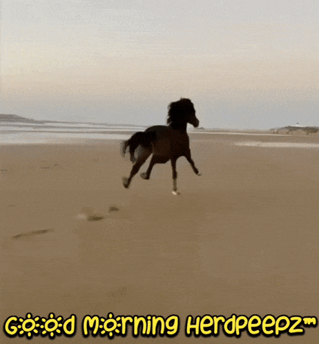 Woman Singing Into Microphone In Esp4 Jacket GIF