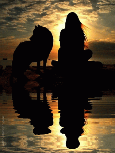 Woman Sitting Beside Dog With Reflection