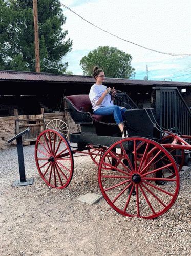 Woman Sitting in Carriage Wearing I Love You T-Shirt