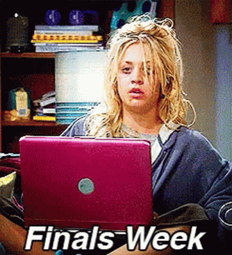 Woman Sitting in Front of Pink Laptop Finals Week