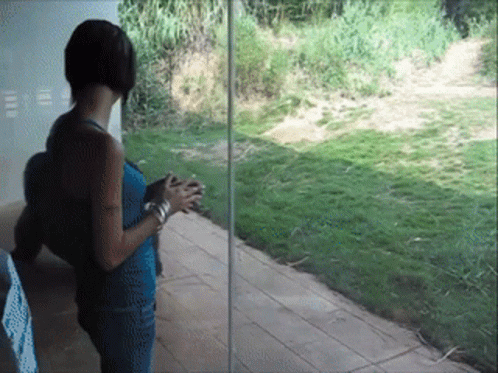 Woman Standing by Glass Door Overlooking Field