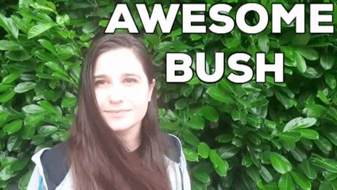 Woman Standing in Front of Awesome Bush