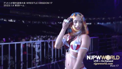 Woman Standing in Front of Fence with njpwworld