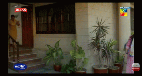 Woman Standing in Front of House With Mezan Paints Sign