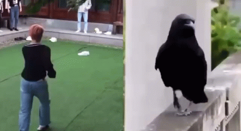Woman Standing Next to Black Bird