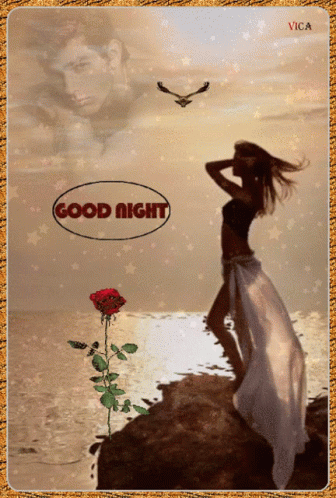 Woman Standing Next To Rose Saying Good Night GIF