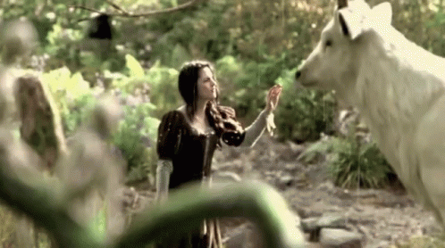 Woman Standing Next to White Wolf in Forest