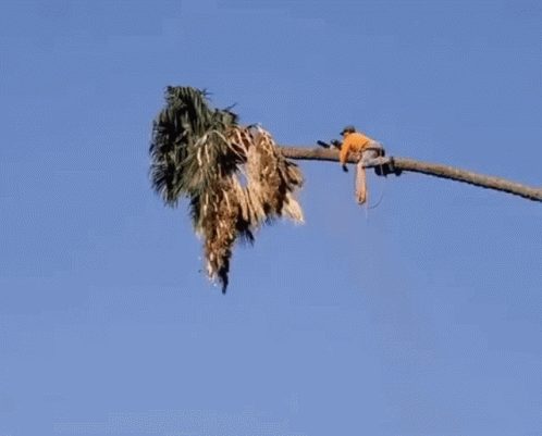Woman Statue Holding Torch With Lion And Man GIF
