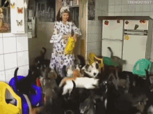 Woman Surrounded By Cats And Dogs GIF