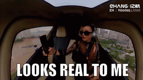 Woman Taking Selfie in Helicopter Looks Real to Me