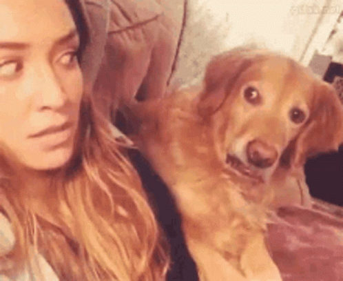 Woman Taking Selfie With Dog