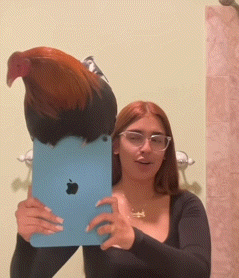 Woman Taking Selfie With Rooster on Head