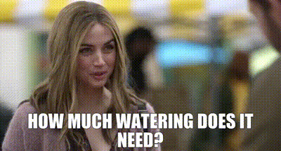 Woman Talking to Man How Much Watering Does It Need