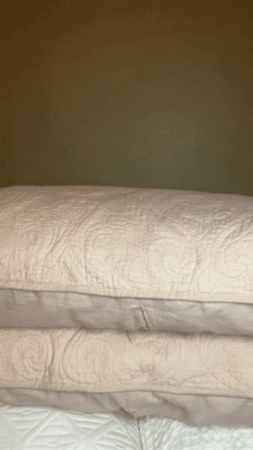 Woman Trying To Hide Under Cushions GIF