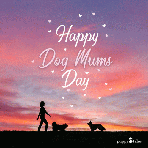 Woman Walking Two Dogs Happy Dog Mums Day