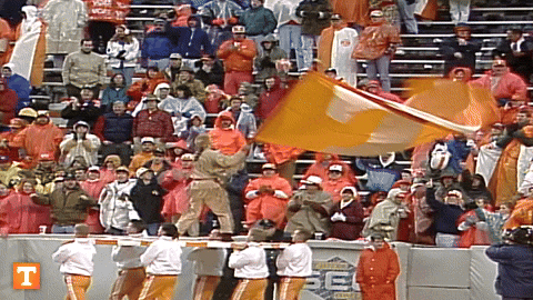 Woman Waving Rocky Top Flag GIF