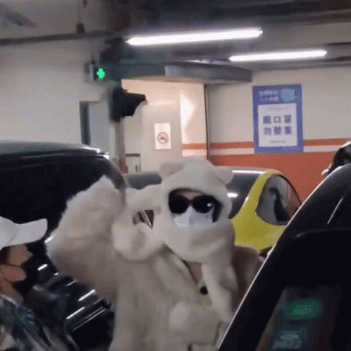 Woman Wearing Mask And Sunglasses GIF
