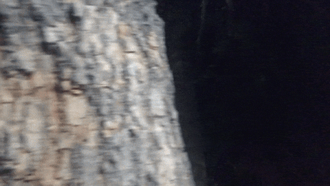 Woman Wearing Tin Hat And Mask Peeping GIF