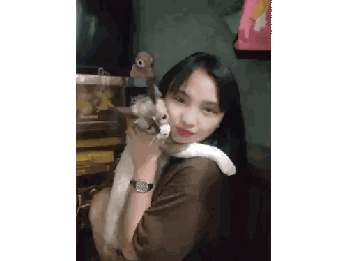 Woman Wearing Watch Holding Cat
