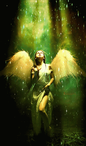 Woman With Angel Wings Surrounded By Stars GIF