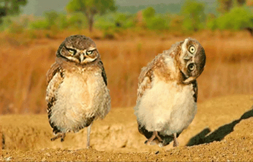 Woman With Eyes Closed GIF
