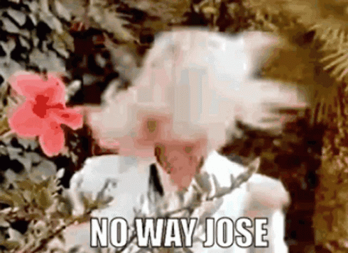 Woman with Flower in Mouth No Way Jose