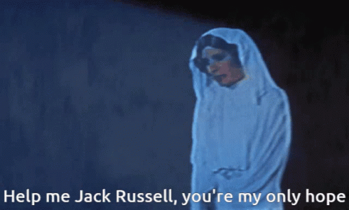 Woman With Help Me Jack Russell You're My Only Hope GIF