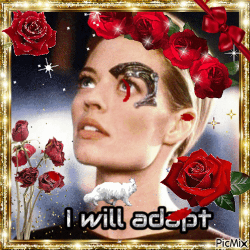 Woman with Red Roses I Will Adapt