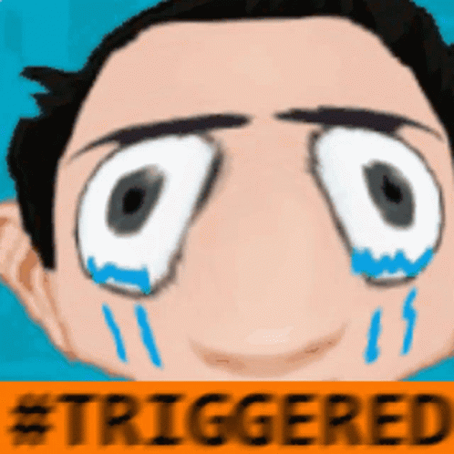 Woman With Yellow Sign Saying Triggered