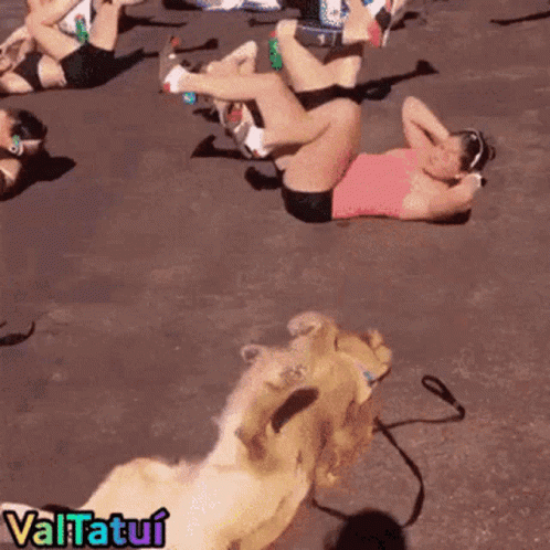 Women Exercising With Dog Valtatui GIF