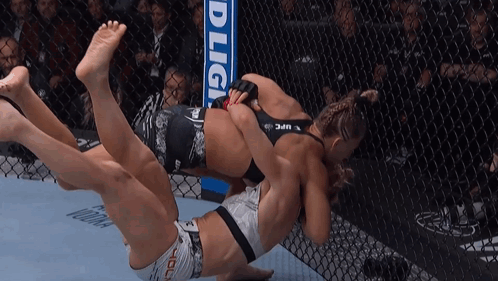 Women Fighting in UFC Cage