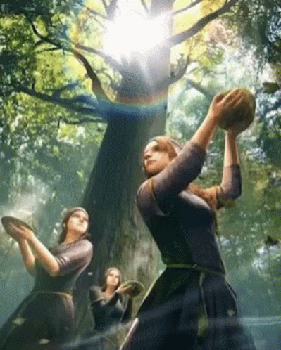 Women Holding Plates And Ball In Forest GIF