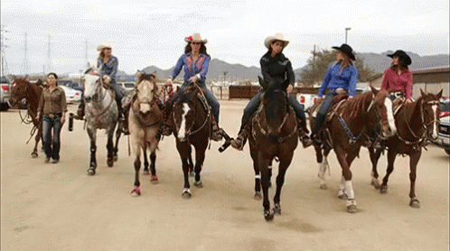 Women Riding Horses On Dirt Road GIF