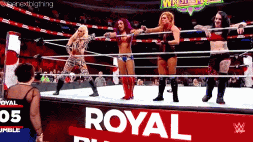 Women Royal Rumble GIF