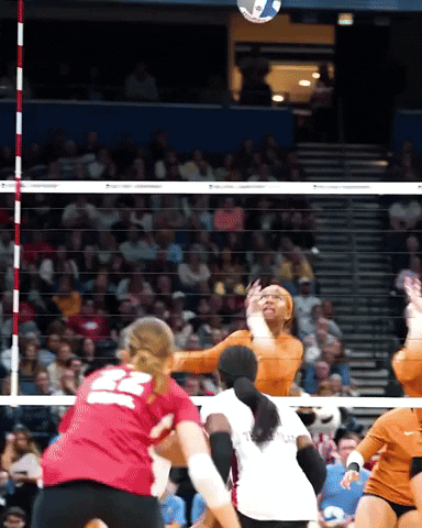Women's Volleyball Texas Longhorns GIF