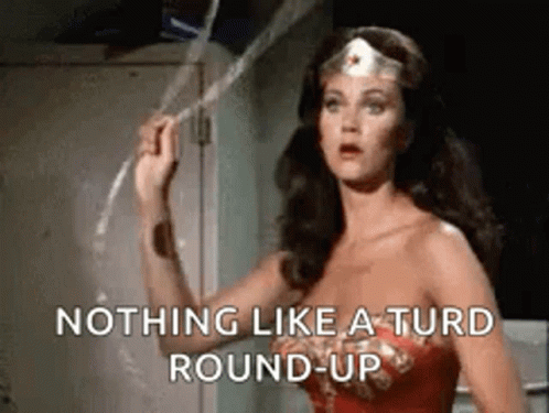 Wonder Woman Is Holding A Rope And Saying `` Nothing Like A Turd Round Up '' . GIF
