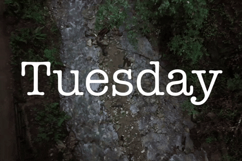 Wonderful Tuesday Aerial Natura Shot GIF