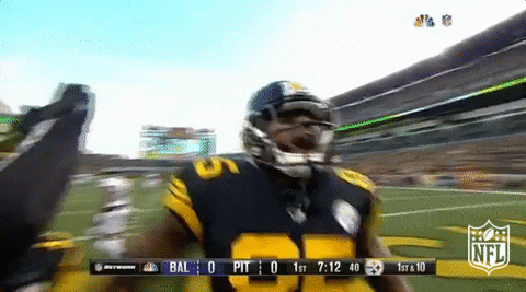 Woo Euphoric Pittsburgh Steelers Nfl GIF