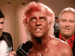 Woo Excited Ric Flair Wrestler GIF