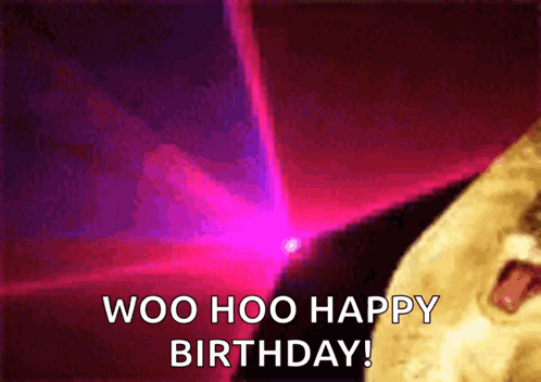 Woo Hoo Happy Birthday Funny Cat GIF