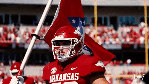Woo Pig Arkansas Razorbacks Flag Banner Presentation GIF