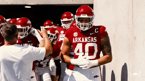 Woo Pig Arkansas Razorbacks Football Team GIF