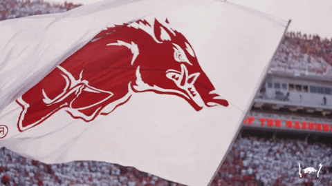 Woo Pig Arkansas Razorbacks Logo Banner Waving GIF